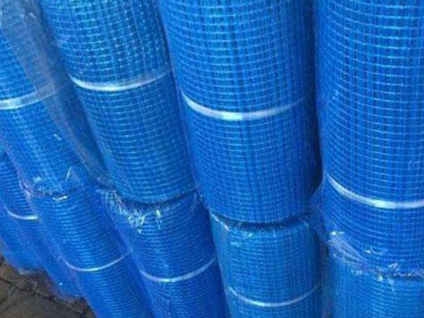 �����w�S�W��